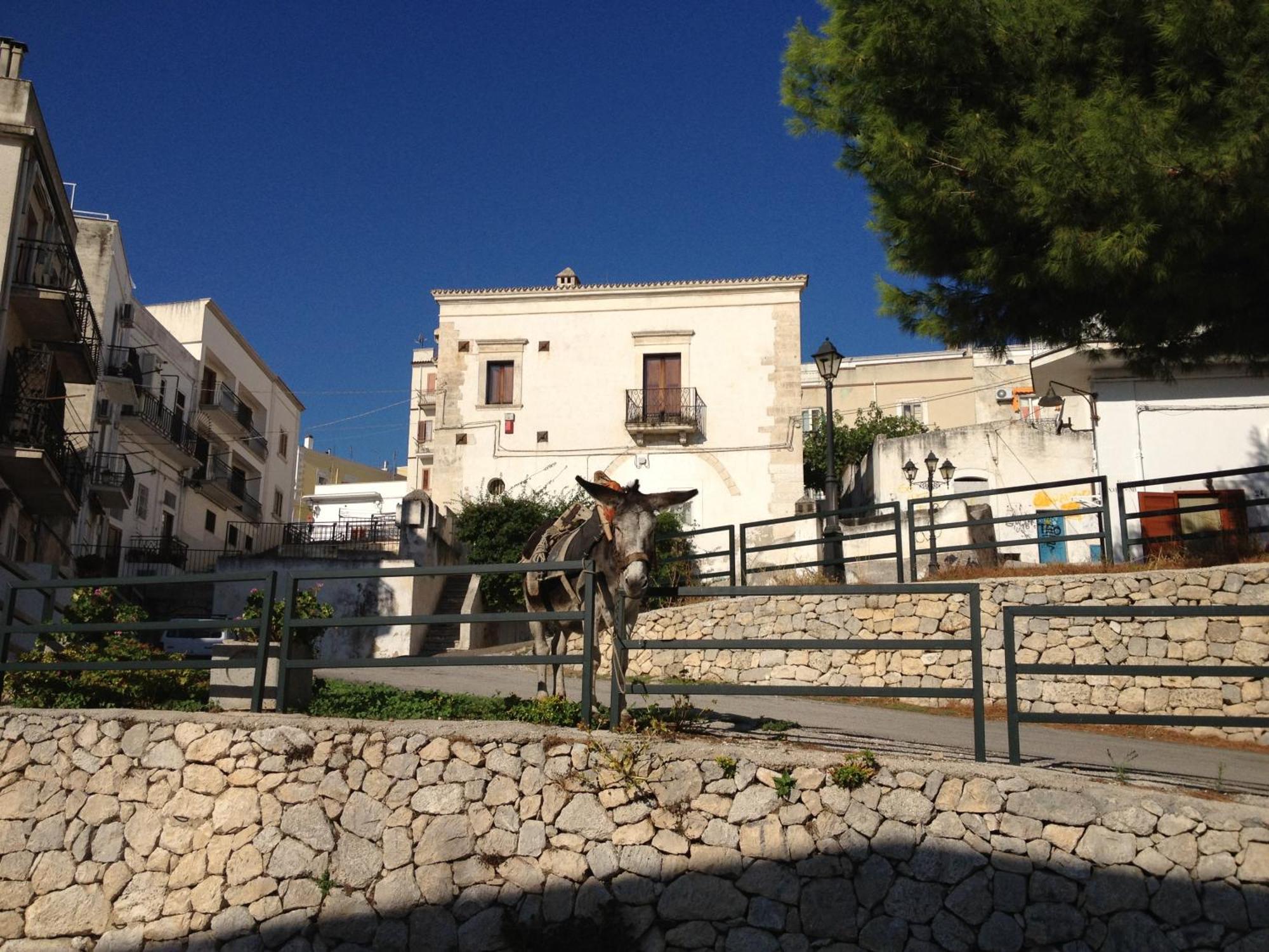 Villa Monte Saraceno Mattinata Buitenkant foto